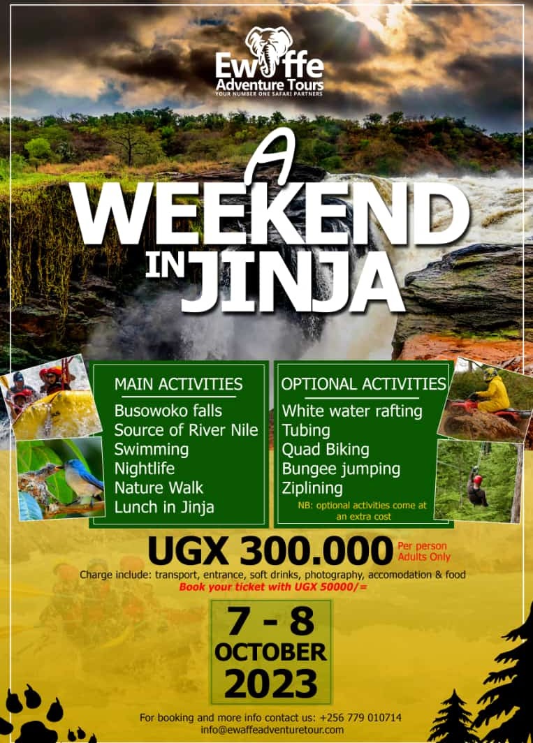 Safari special offer